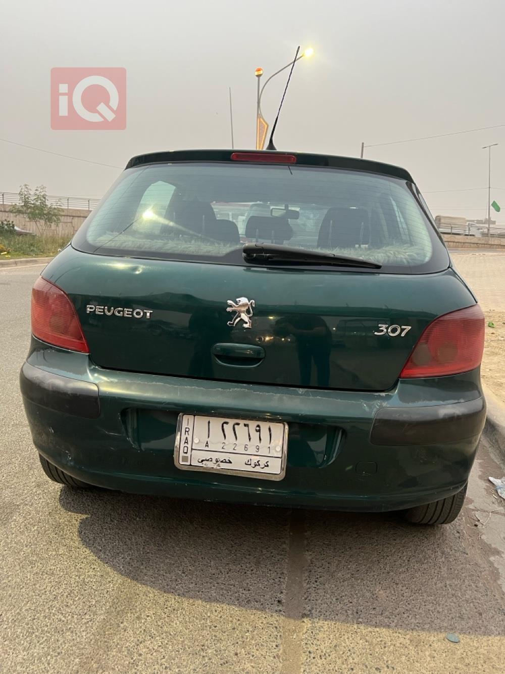 بیجۆ 307